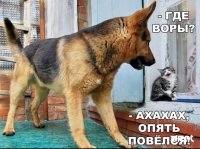 Прикольные и смешные картинки