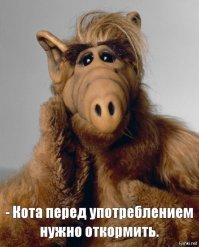 Прикольные и смешные картинки