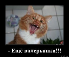 Прикольные и смешные картинки
