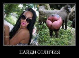 Прикольные и смешные картинки