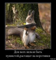 Белочка