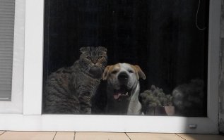 у меня такие-же