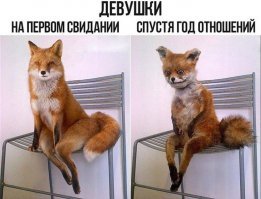 Фотоподборка