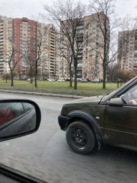 Мышь в клетке