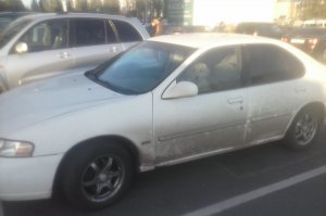 Между прочим, собаки паркуются получше некоторых прямоходячих обезьян. По крайней мере, между линиями разметки попадают