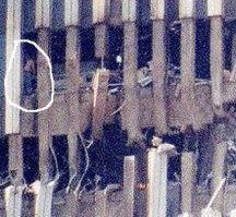 Достаточно небольшого сравнения.
А6M-наиболее часто использовавшийся при атаках кораблей, вес -2.5тонны, пл.крыла-22.5 метра, крейсерская скорость- 350кмч,
И 9/11 Boeing 767 - вес 125-150 тонн, пл.крыла- 283кв.м, крейсерская скорость- 870 кмч.

Да, зеро бы только поцарапал колонны. 
К тому же на фото с вертолета хорошо видны поврежденные колонны внешнего контура здания. Повреждение они получили именно от вхождения в них борта.
Прилагаю фото строительства для понимания конструктива здания.