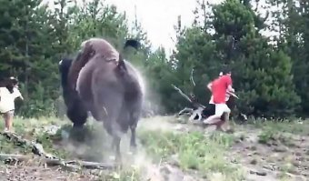 Хигс в красной майке.