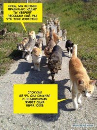 Прикольные и смешные картинки