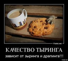 Образ кота в демотиваторах