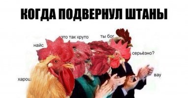 Ну так подвороты обязывают вести себя как е"блан !!!