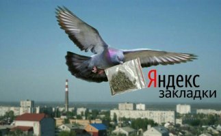 Новые неожиданные сервисы от Яндекса, от вида которых у вас округлятся глаза