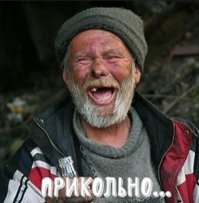 16 случаев, когда люди решили сэкономить на парикмахере, но пожалели об этом