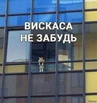 Образ кота в демотиваторах