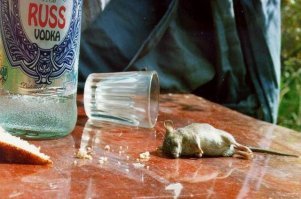 жертв было больше