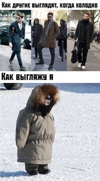 Прикольные и смешные картинки