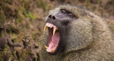Серьёзные ребята!