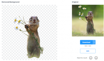 Если с фотошопом у вас натянутые отношения, то убрать задний фон на фотографии может искусственный интеллект по адресу . Нейросеть быстро справляется с задачей и за несколько секунд выдаёт вам готовый материал для мемов и коллажей в формате png. 

Сложные фотографии обрабатывает не очень.