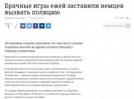 Это видео с ежиком сделает ваш день