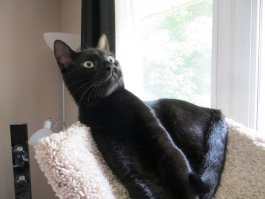 хрена ссе, внучка какая...