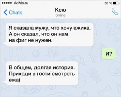 Это видео с ежиком сделает ваш день