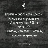 Прикольные и смешные картинки