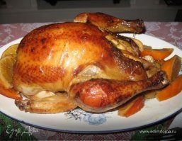 Пожалуй не в этот раз:  реакция уток на первый в их жизни снег