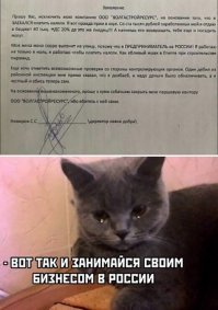 Как одолели эти нытики и сказочники  
Организация 'ОБЩЕСТВО С ОГРАНИЧЕННОЙ ОТВЕТСТВЕННОСТЬЮ "ВОЛГАСТРОЙРЕСУРС"' зарегистрирована 15 сентября 2016 года по адресу 432071, УЛЬЯНОВСКАЯ ОБЛАСТЬ, ГОРОД УЛЬЯНОВСК, УЛИЦА ФЕДЕРАЦИИ, ДОМ 105/46, ОФИС 4. 
Телефон: 8 (904) 190-22-22
Компании был присвоен ОГРН 1167325069339 и выдан ИНН 7325148644. 
Основным видом деятельности является строительство жилых и нежилых 
зданий. 
Пенсионный фонд России (ПФР)
Юр.лицо зарегистрировано 20 сентября 2016 под номером 083024115183
Фонд социального страхования (ФСС)
Юр.лицо зарегистрировано 22 сентября 2016 под номером 732302581573001
ИНН: 7325148644
КПП: 732501001
ОКПО: 04612361
ОГРН: 1167325069339
Компанию возглавляет НЕМИРОВ СЕРГЕЙ СЕРГЕЕВИЧ.

Сведения о доходах и расходах по данным ФНС от 19.10.2019 по ИНН 7325148644:
Год	Доходы	Расходы	Доходы - Расходы
2018	42 100 000 р 	
**ДОХОД - 42 МИЛЛИОНА 100 ТЫСЯЧ РУБЛЕЙ!!! 

Сведения об уплаченных суммах налогов и сборов по данным ФНС от 19.10.2019 по ИНН 7325148644:
Год	Наименование	Сумма
2018	Налог на добавленную стоимость	44 682 р 
2018	Страховые и другие взносы на обязательное пенсионное страхование, зачисляемые в Пенсионный фонд Российской Федерации	0 р
2018	Налог на прибыль	17 623 р

НДС ОПЛАЧЕНО 44 682 РУБЛЯ!!! 
НАЛОГОВ ОПЛАЧЕНО 17 623 РУБЛЯ!! Правда дохрена? с 42 миллионов?! 
ПРИЧЁМ, ПЛЯТЬ, НДС 20% ???!!! Везде пихают его где не нужно! Платил 18% - 17 623р, будешь платить 20% - 19581 р.!! Разоришься?! Серьёзно? 

Хорошо, они по бухгалтерии указывают большие расходы, но туда записывают во-первых всё что можно и нельзя, всякие левые акты и прочие оказанные и не оказанные услуги с завышенными ценами, но это ещё и работа с НЕДВИГОЙ - туда расходы пихают вот какие например - купил дохрена бетона и залил из него дохрена фундаментов и стен - ты сейчас потратился, да, НО! На следующий год ты продашь эти здания, стены и фундаменты в 5-6 раз дороже, как готовое изделие!  Накупил леса - расходы вроде, но ты из этого леса настроишь много домов и срубишь денег дофига. Именно по этой причине в 2017 году доход этого пздуна составил 3 721 000 р, а в 2018 уже 42 100 000р. В 11.3 РАЗА!!!  И также в следующем году укажет много расходов, просто суммы уже будут с бОльшим количеством нулей и также будет плакать, цука, что плохо живётся!  Но и это ещё не всё! Это дядя учредитель в другой конторе ООО "В2В КОНСАЛТИНГ", которая, (вот совпадение!) занимается
46.73	Торговля оптовая лесоматериалами, строительными материалами и санитарно-техническим оборудованием
41.20	Строительство жилых и нежилых зданий
43.11	Разборка и снос зданий
43.29	Производство прочих строительно-монтажных работ
43.31	Производство штукатурных работ
43.32	Работы столярные и плотничные
43.33	Работы по устройству покрытий полов и облицовке стен
43.34	Производство малярных и стекольных работ
43.39	Производство прочих отделочных и завершающих работ
43.99	Работы строительные специализированные прочие, не включенные в другие группировки
45.31	Торговля оптовая автомобильными деталями, узлами и принадлежностями
46.69	Торговля оптовая прочими машинами и оборудованием
46.74	Торговля оптовая скобяными изделиями, водопроводным и отопительным оборудованием и принадлежностями
46.76	Торговля оптовая прочими промежуточными продуктами
46.90	Торговля оптовая неспециализированная
63.11.1	Деятельность по созданию и использованию баз данных и информационных ресурсов
73.11	Деятельность рекламных агентств
77.39	Аренда и лизинг прочих видов транспорта, оборудования и материальных средств, не включенных в другие группировки

 В ней, судя по ОКВЭД, есть всё, чтобы оказывать самому себе (в лице строительной ООО) все возможные услуги по: сносу, строительству, отделке, монтажу, лизингу техники, продаже любых стройматериалов, короче работ полного цикла. Так что его фактические расходы на строительство реально ещё НАМНОГО меньше! Так что харе пздеть, господа "голодающие", а эти ваши вбросы рассчитаны на лохов и распространение клеветы.