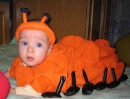 личинка хомо сапиенса