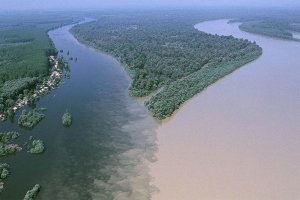 На контрасте: редкие фотографии, на которых сочетается несочетаемое
