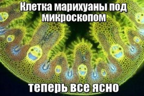 Картинки с надписями