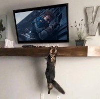 Древнее зло проснулось.