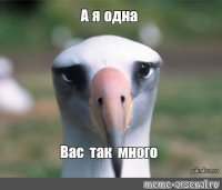 Прикольные и смешные картинки