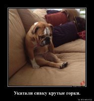 Прикольные и смешные картинки