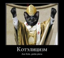 Прикольные и смешные картинки