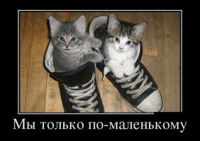 Прикольные и смешные картинки