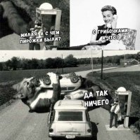 Если грибы не растения, то что это такое?