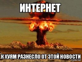 Если грибы не растения, то что это такое?