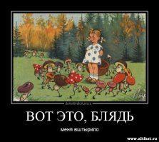 Если грибы не растения, то что это такое?