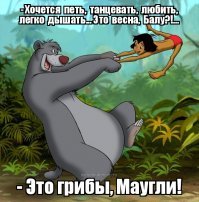 Если грибы не растения, то что это такое?