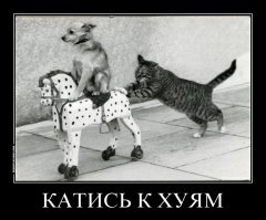 Ну, раз ты раб, то и на мнение твое пох...