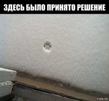 Как кошки в истории наследили