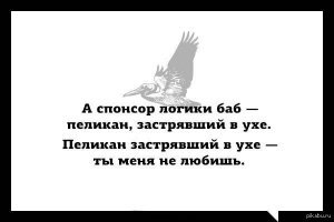 Убойные примеры женской логики, над которыми мужчины будут смеяться до слез