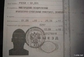 Красота чёрного