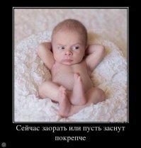 Дико забавные! Объявлены победители конкурса смешных фотографий природы