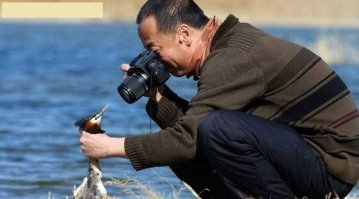 Дико забавные! Объявлены победители конкурса смешных фотографий природы