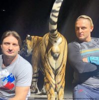 Намешалось