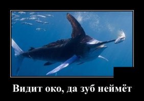 Четверг - рыбный день

.