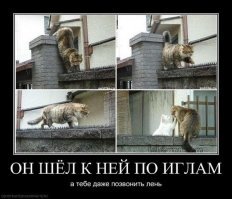 Знаю, знаю, но до кошки ещё нужно добраться))