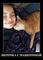 - А ведь они похожи ! )