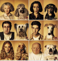 О, еще родственников нашел: